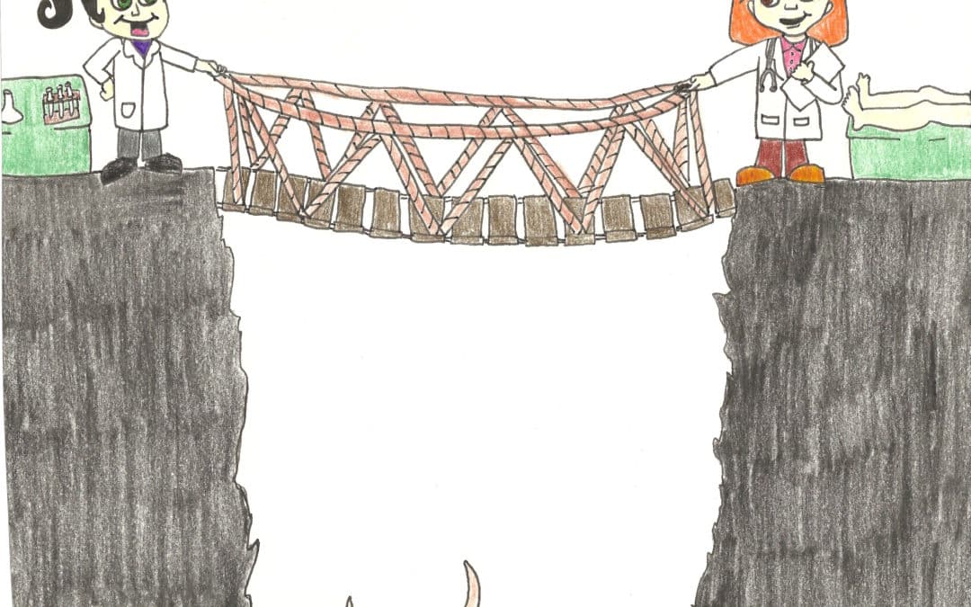 The Perfect Bridge – science-based medicine to ME/CFS patients