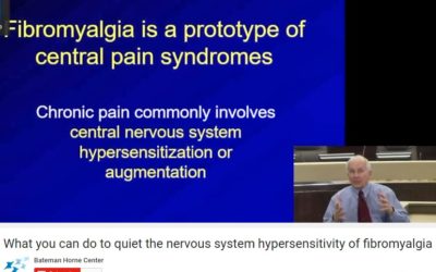 Quiet the Nervous System Hypersensitivity of Fibromyalgia