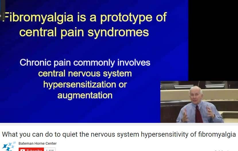 Quiet the Nervous System Hypersensitivity of Fibromyalgia