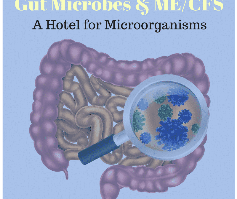 Welcome to the Microorganism Hotel