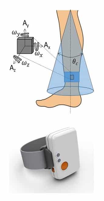Being Upright Research Image