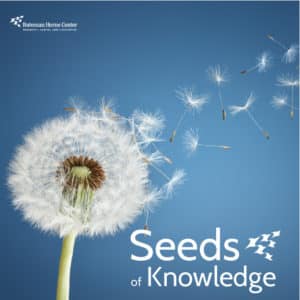 Seeds of Knowledge square