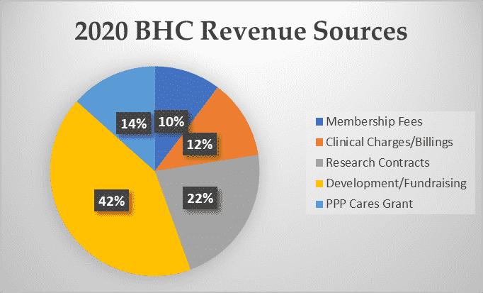 2020 Revenue Sources Pie Chart 2020 Revenue Sources Pie Chart