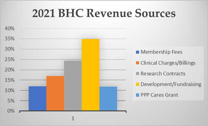 2021 BHC Revenue Sources Bar Graph
