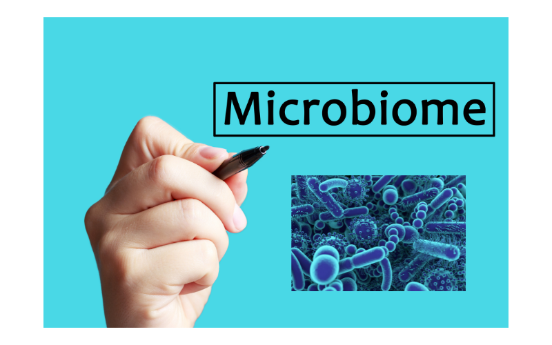 News Release: Microbiome Disturbances in ME/CFS