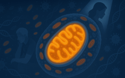 Mitochondria in the Spotlight